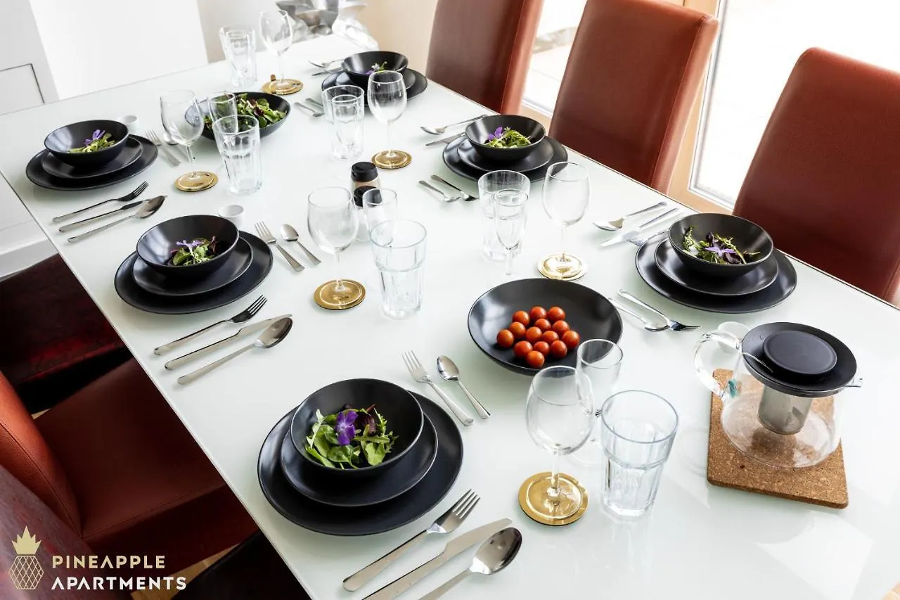Pineapple Apartments Dresden Mitte II - Free Parking 0*,  Germany